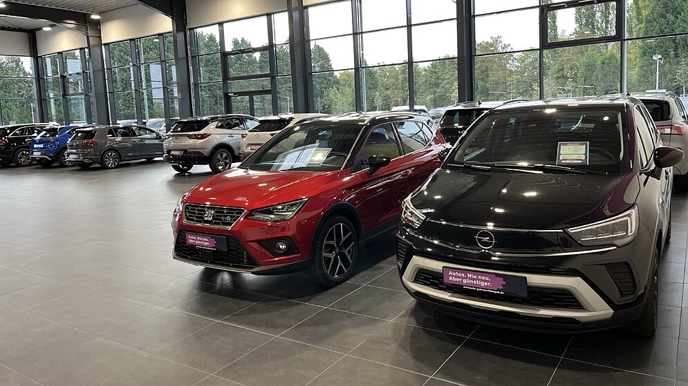 Innenansicht des modernen AGVV-Autohauses, in dem verschiedene Neuwagen ausgestellt sind. 