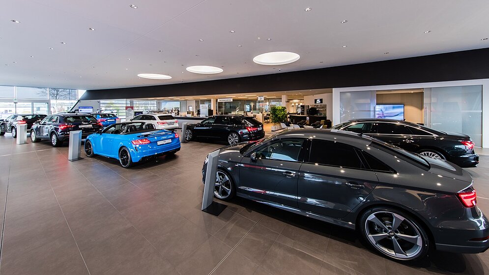 Innenraum des Autohaus-Showrooms mit Fahrzeugpräsentation und modernem Decken-Lichtkonzept